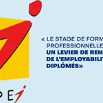 Digitalisation du Programme de Stage de Formation Professionnelle APEJ MALI