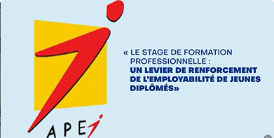 Digitalisation du Programme de Stage de Formation Professionnelle APEJ MALI